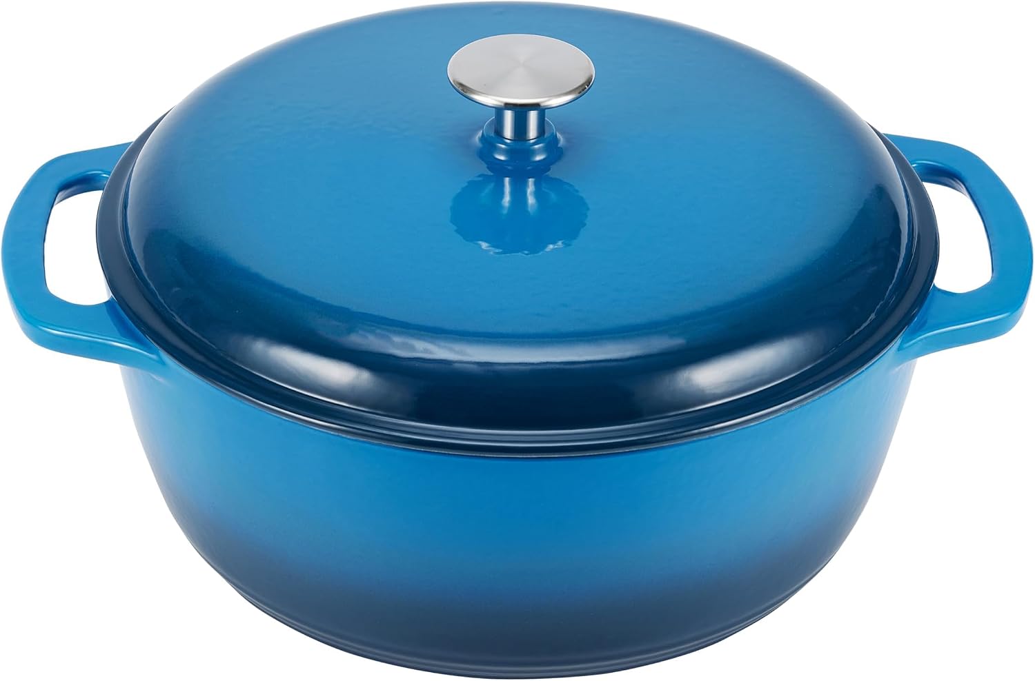 Blue Enameled Cast Iron Stew Pot